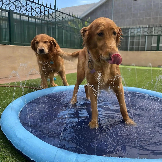 Pawss™ Summer Splash Pad